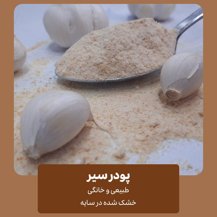 پودر سیر